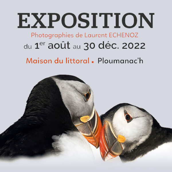 Exposition Maison du littoral